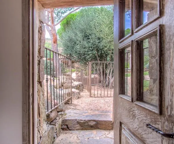 Serenita Pallombaggia *