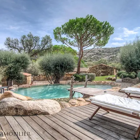 Serenita Pallombaggia *