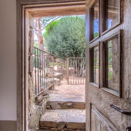 Serenita Pallombaggia *